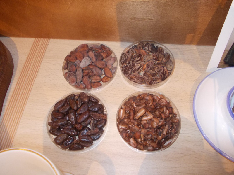 El cacao, desde la planta hasta el Txokolate